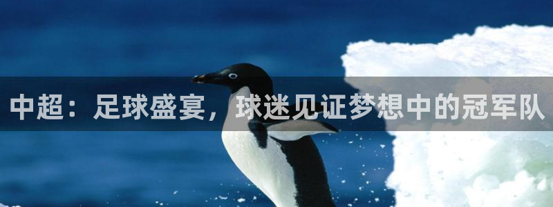 篮球直播jrkan：中超：足球盛宴，球迷见证梦想中的冠军队