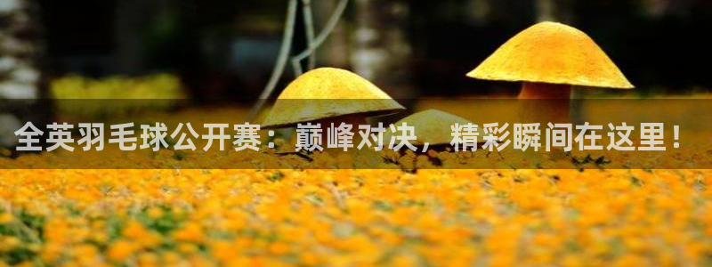 jrkan直播nba：全英羽毛球公开赛：巅峰对决，精彩瞬间在这里！