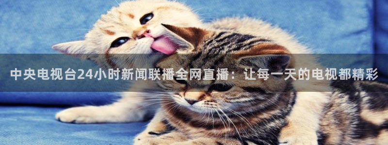 jrkankan直播体育网：中央电视台24小时新闻联播全网直播：让每一天的电视都精彩