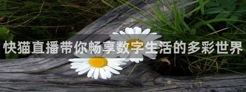 jrkan视频直播nba：快猫直播带你畅享数字生活的多彩世界
