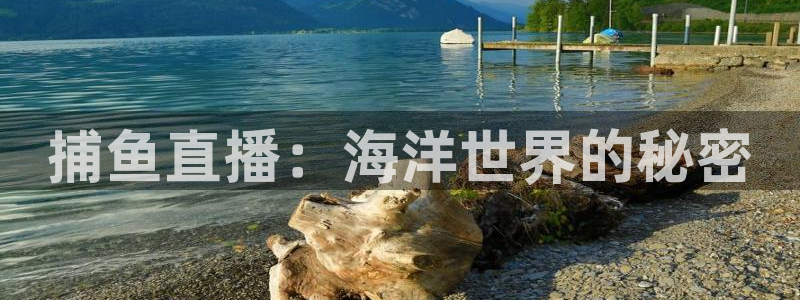 jrkan直播免费体育直播：捕鱼直播：海洋世界的秘密
