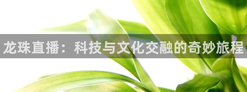 jrkan2023直播体育网：龙珠直播：科技与文化交融的奇妙旅程