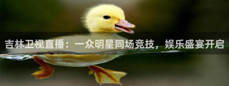 jrkan篮球直播：吉林卫视直播：一众明星同场竞技，娱乐盛宴开启