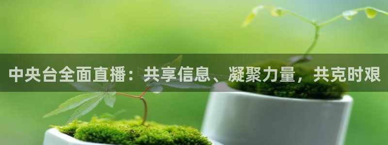 jrkan直播体育