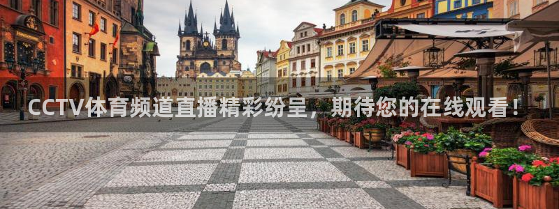 jrkan直播篮球体育网：CCTV体育频道直播精彩纷呈，期待您的在线观看！