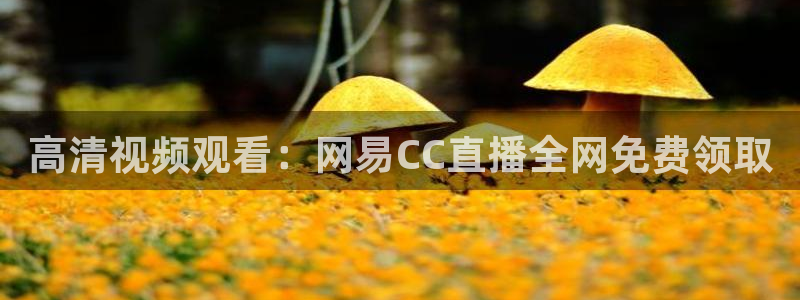 篮球直播jrkan：高清视频观看：网易CC直播全网免费领取